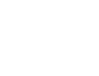 Vinod Chopra Films